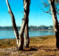 Lake Broadwater Conservation Park - Accommodation Gold Coast