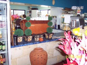 Warwicks Gardens Galore - 1 Gold Coast 2