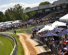 Thoroughbred Park Canberra Racing Club - Horse Racing In The Nations Capital - 1 Gold Coast 0