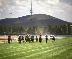 Thoroughbred Park Canberra Racing Club - Horse Racing In The Nations Capital - 1 Gold Coast 3