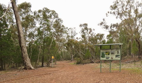 Little Llangothlin Picnic Area - Accommodation Gold Coast 2