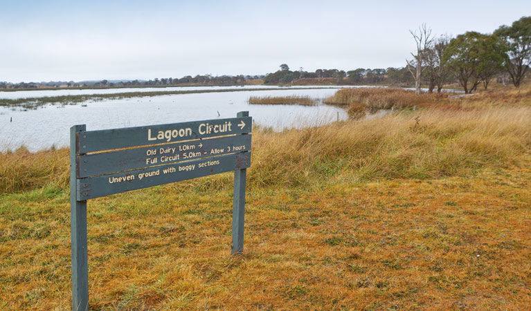 Attunga NSW Accommodation Gold Coast