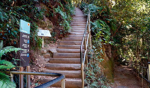Federal Pass - Accommodation Gold Coast 1