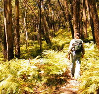 Federal Pass - Accommodation Gold Coast