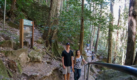Federal Pass - Accommodation Gold Coast 3