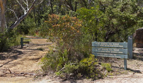 Mount Banks Road Cycle Route - 1 Gold Coast 1