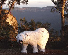 Lost Bear Gallery - Accommodation Gold Coast 0