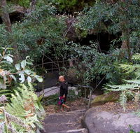 Leura Cascades Fern Bower - Accommodation Gold Coast