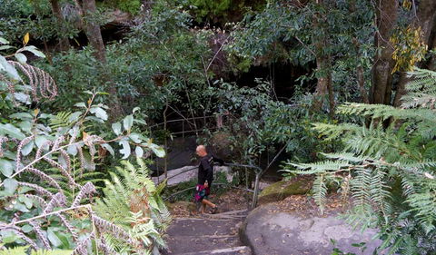 Leura Cascades Fern Bower - Accommodation Gold Coast 0