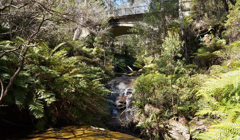 Leura Cascades Fern Bower - Accommodation Gold Coast 3
