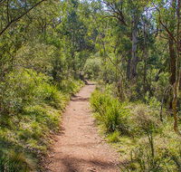 Mares Forest Creek walking track - Accommodation Gold Coast
