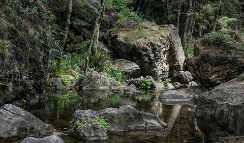 Mares Forest Creek Walking Track - Accommodation Gold Coast 1
