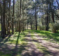 Wombeyan Waterfall walking track - Accommodation Gold Coast