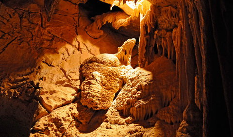 Fig Tree Cave - Accommodation Gold Coast 0