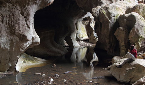 Fig Tree Cave - Accommodation Gold Coast 2