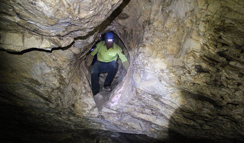 Dennings Labyrinth - Accommodation Gold Coast 0