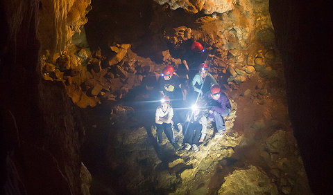 Dennings Labyrinth - Accommodation Gold Coast 1