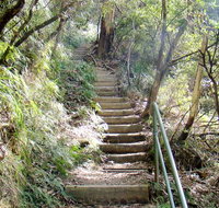 Nature track - Accommodation Gold Coast