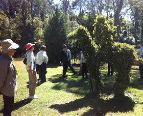 Wildwood Garden - Accommodation Gold Coast 3