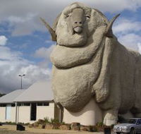 Big Merino - Accommodation Gold Coast