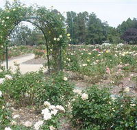 Victoria Park Rose Garden - Accommodation Gold Coast