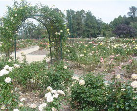 Victoria Park Rose Garden - Accommodation Gold Coast 0
