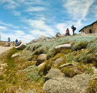 Mount Kosciuszko Summit walk - Accommodation Gold Coast