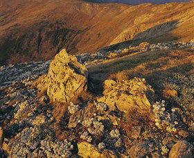 Kosciuszko National Park - Charlottes Pass To Snowy River - Accommodation Gold Coast 1