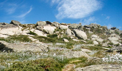 Mount Stillwell Walk - Accommodation Gold Coast 1