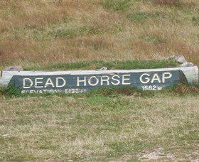 Dead Horse Gap - Accommodation Gold Coast 0