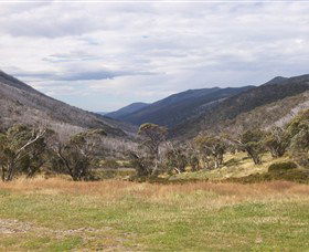 Dead Horse Gap - Accommodation Gold Coast 2