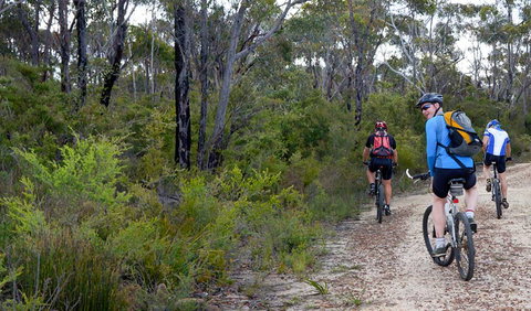 McMahon's Point Ride - Wentworth Falls - Accommodation Gold Coast 0
