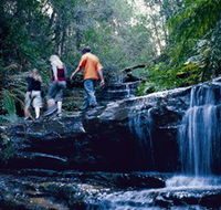 South Lawson Waterfall Circuit - Accommodation Gold Coast