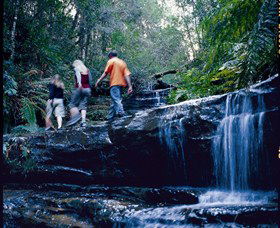South Lawson Waterfall Circuit - Accommodation Gold Coast 0