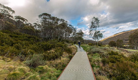 Thredbo Valley Track - Accommodation Gold Coast 0