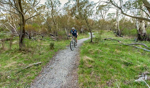 Thredbo Valley Track - Accommodation Gold Coast 1