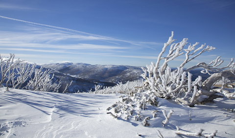 Rock Creek Snowshoe Track - Accommodation Gold Coast 0