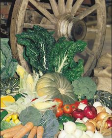 Mulgowie QLD Accommodation Gold Coast