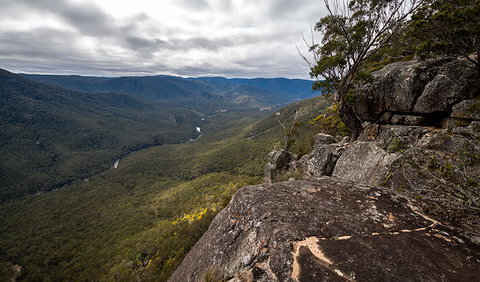 Mann River Nature Reserve - Accommodation Gold Coast 2