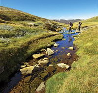 Australian Alps Walking Track - Accommodation Gold Coast