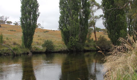 Thredbo River Picnic Area - Accommodation Gold Coast 3