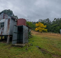 Nowendoc National Park - Accommodation Gold Coast