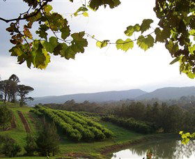 Enniskillen Orchard - 1 Gold Coast 1