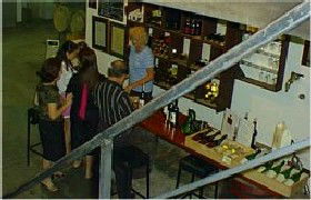 John Kosovich Wines - Accommodation Gold Coast 1