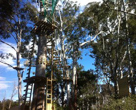 Trees Adventure Grose River Park - 1 Gold Coast 1