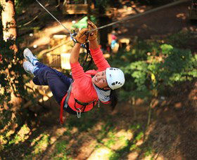 Trees Adventure Grose River Park - 1 Gold Coast 0