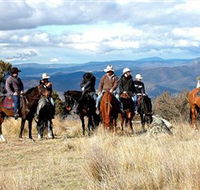 Snowy Wilderness - Accommodation Gold Coast