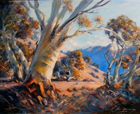 Snowy Mountains NSW Accommodation Gold Coast
