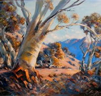 Kunama Snowy Mountains Centre for the Arts - Accommodation Gold Coast