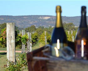 Ugly Duckling Wines - Accommodation Gold Coast 1